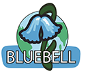 Aktualności | BlueBell Przedszkole językowe w Kościerzynie